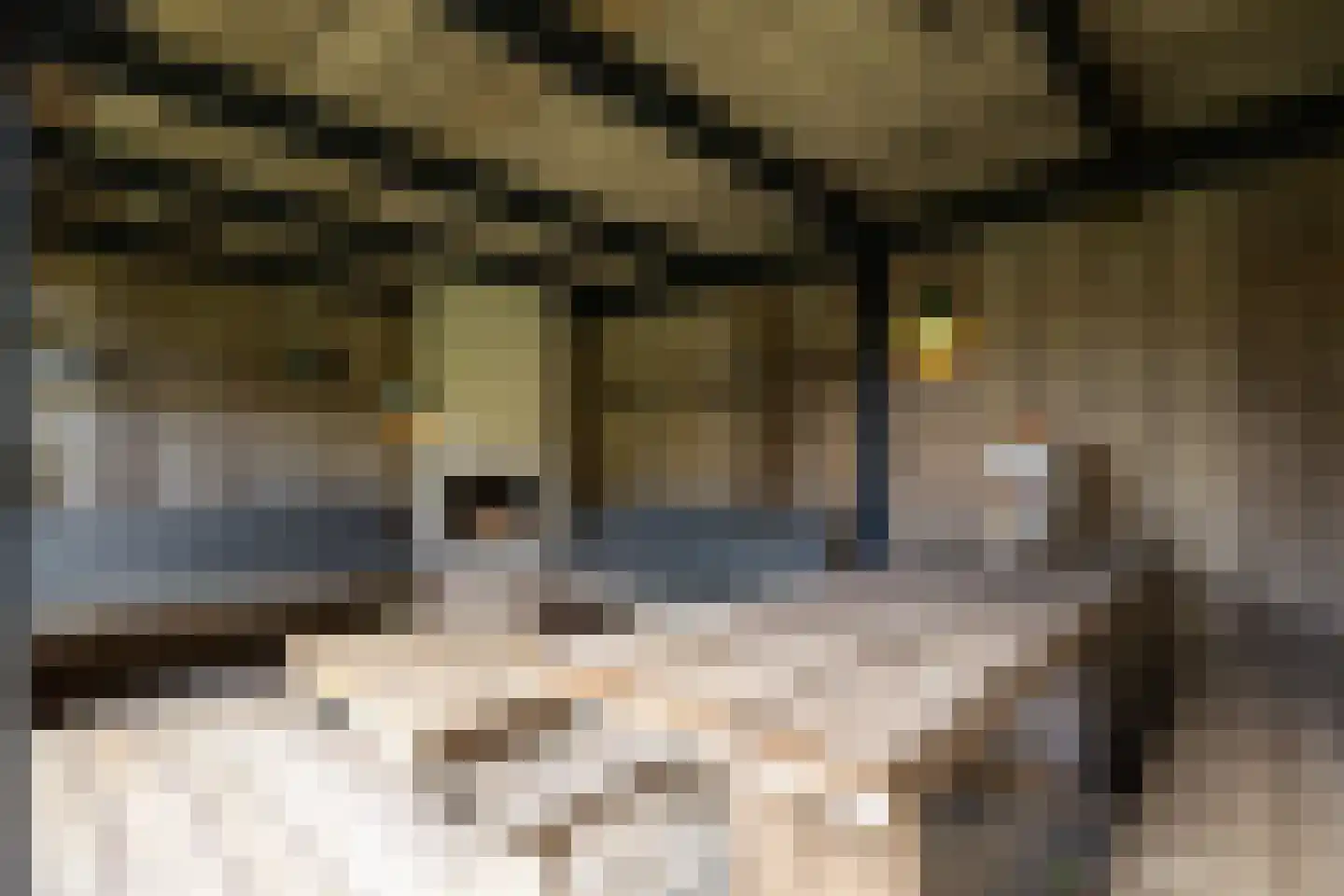 Beerensteinerlaan 46 Bussum thumbnail 4
