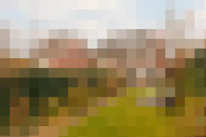 Beerensteinerlaan 47 Bussum thumbnail 18