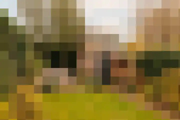 Beerensteinerlaan 47 Bussum thumbnail 19