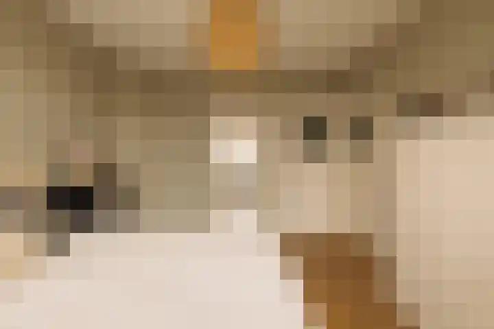 Beerensteinerlaan 47 Bussum thumbnail 22
