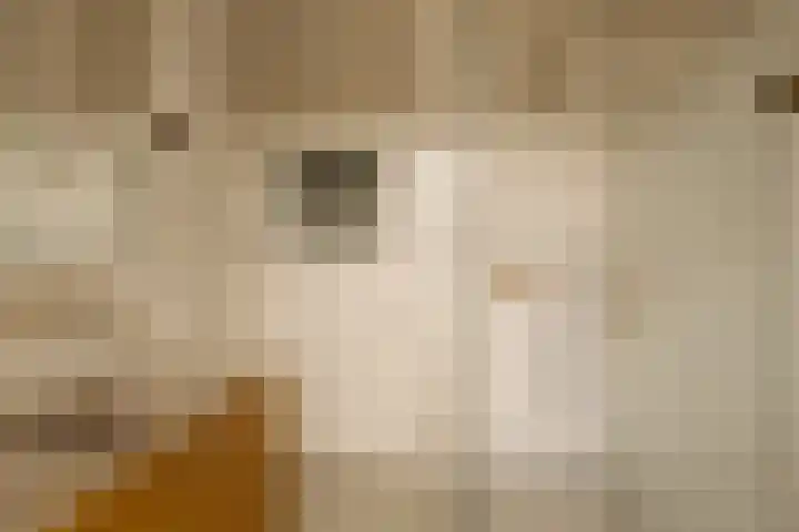 Beerensteinerlaan 47 Bussum thumbnail 28