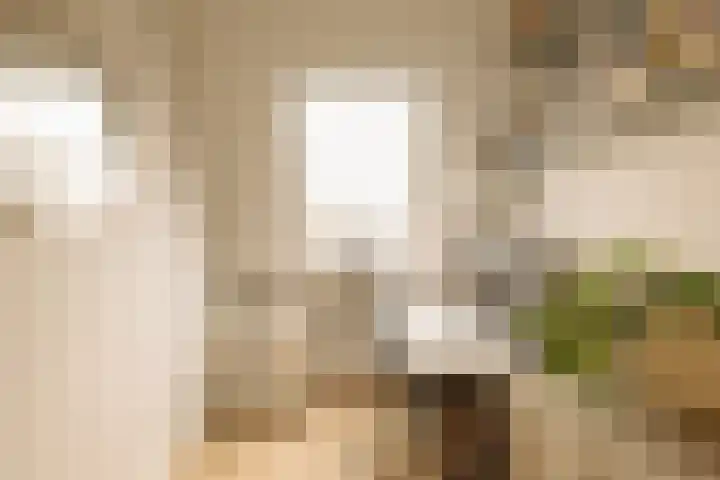 Beerensteinerlaan 47 Bussum thumbnail 35