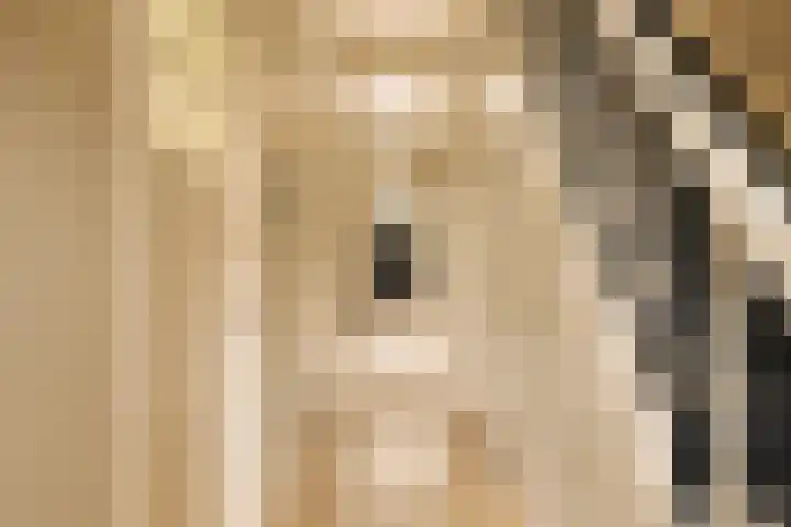 Beerensteinerlaan 47 Bussum thumbnail 6