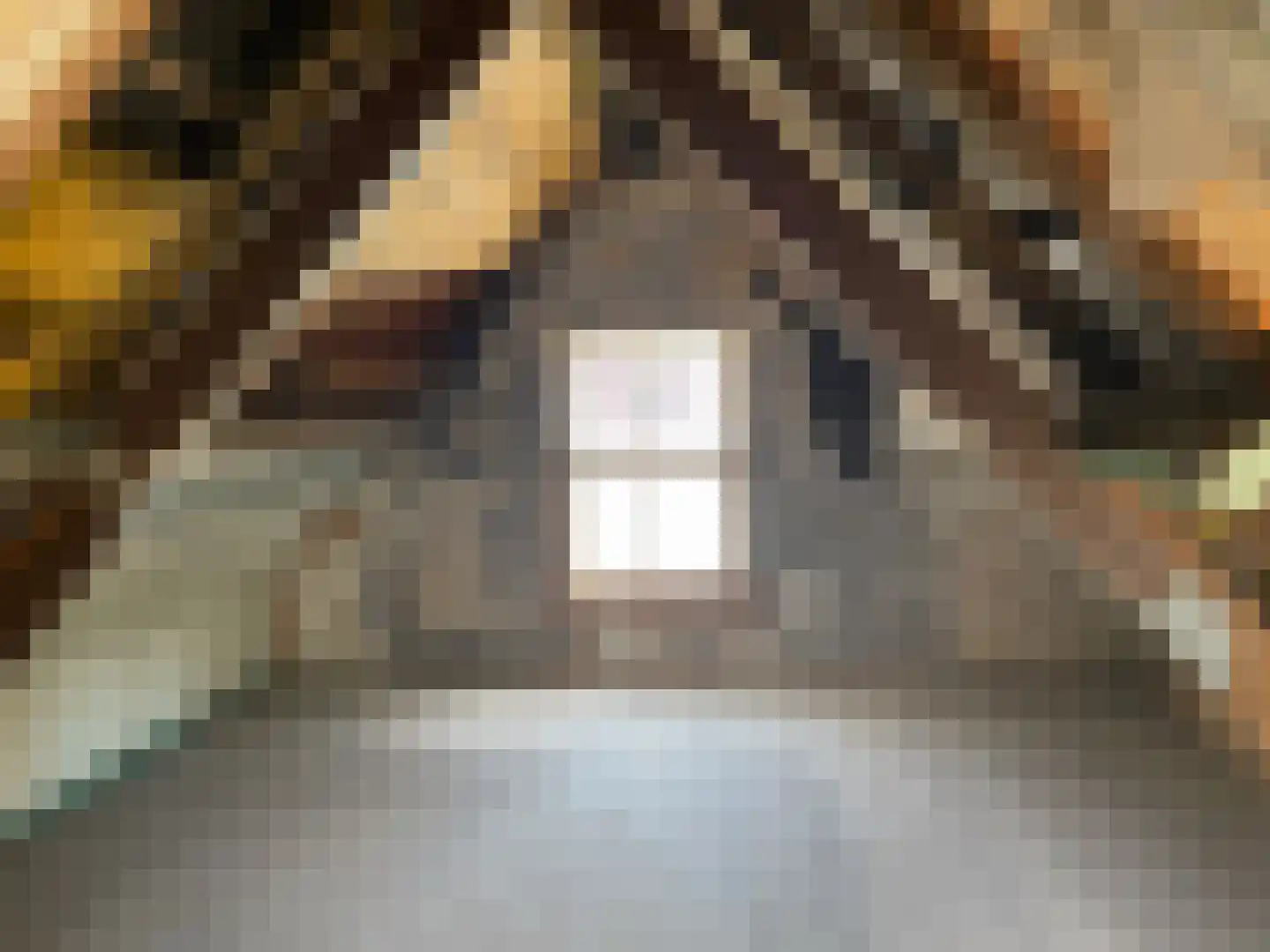 Beerensteinerlaan 6 Bussum thumbnail 10