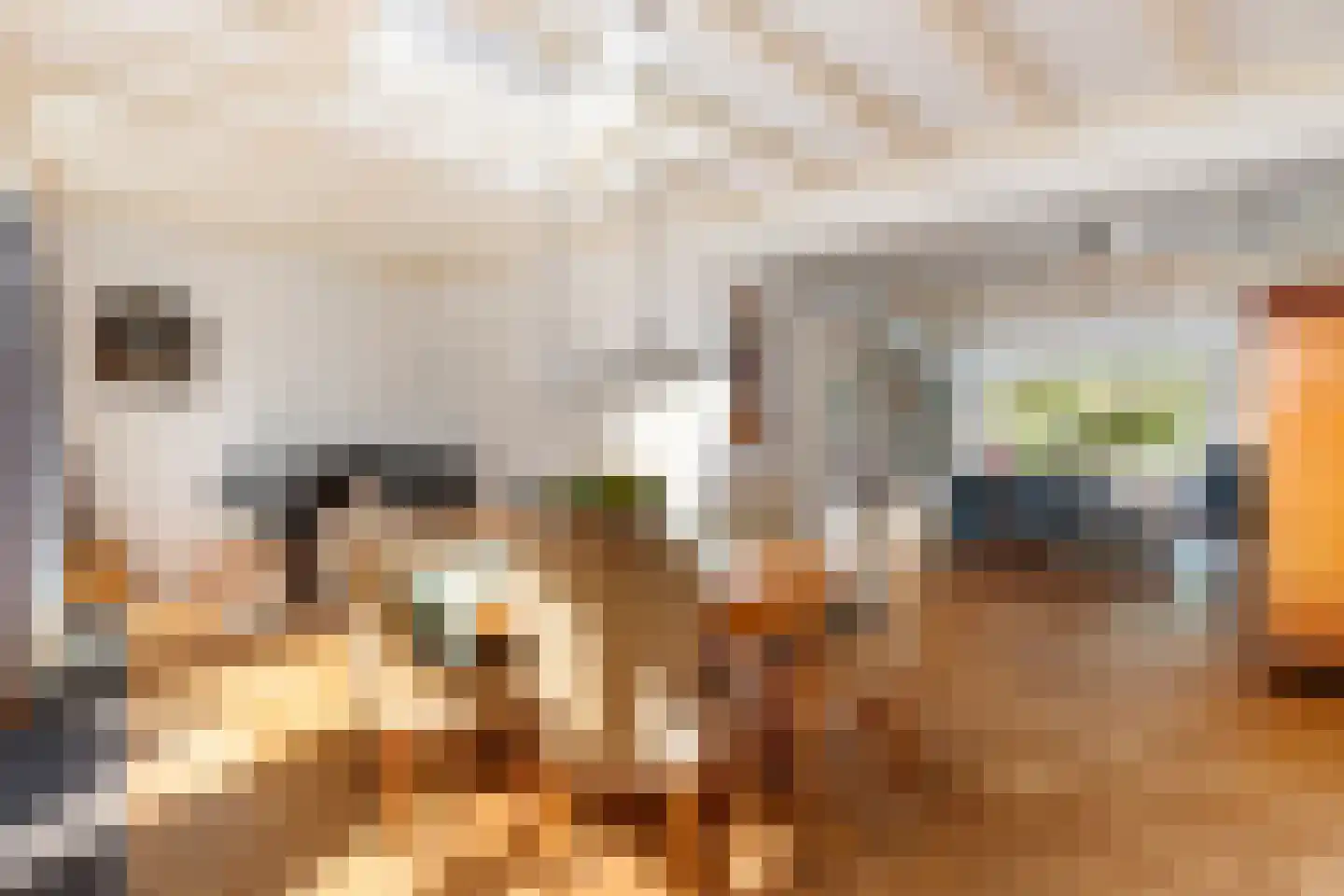 Beerensteinerlaan 63 Bussum thumbnail 12
