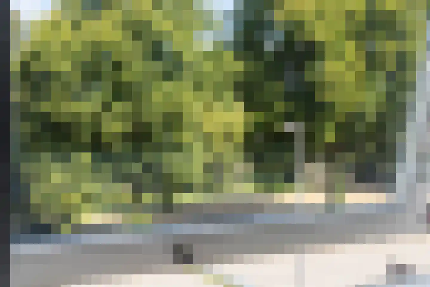 Beerensteinerlaan 63 Bussum thumbnail 26