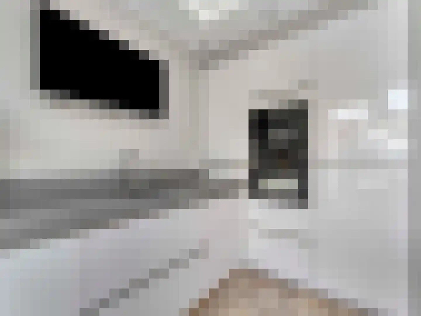 Beereveld 11 Breukelen thumbnail 12