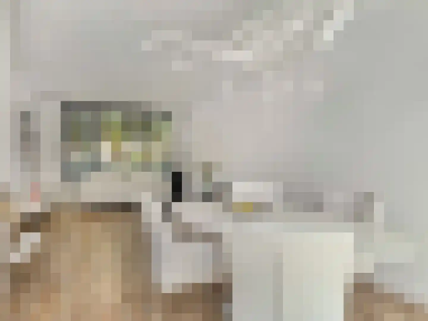 Beereveld 11 Breukelen thumbnail 13