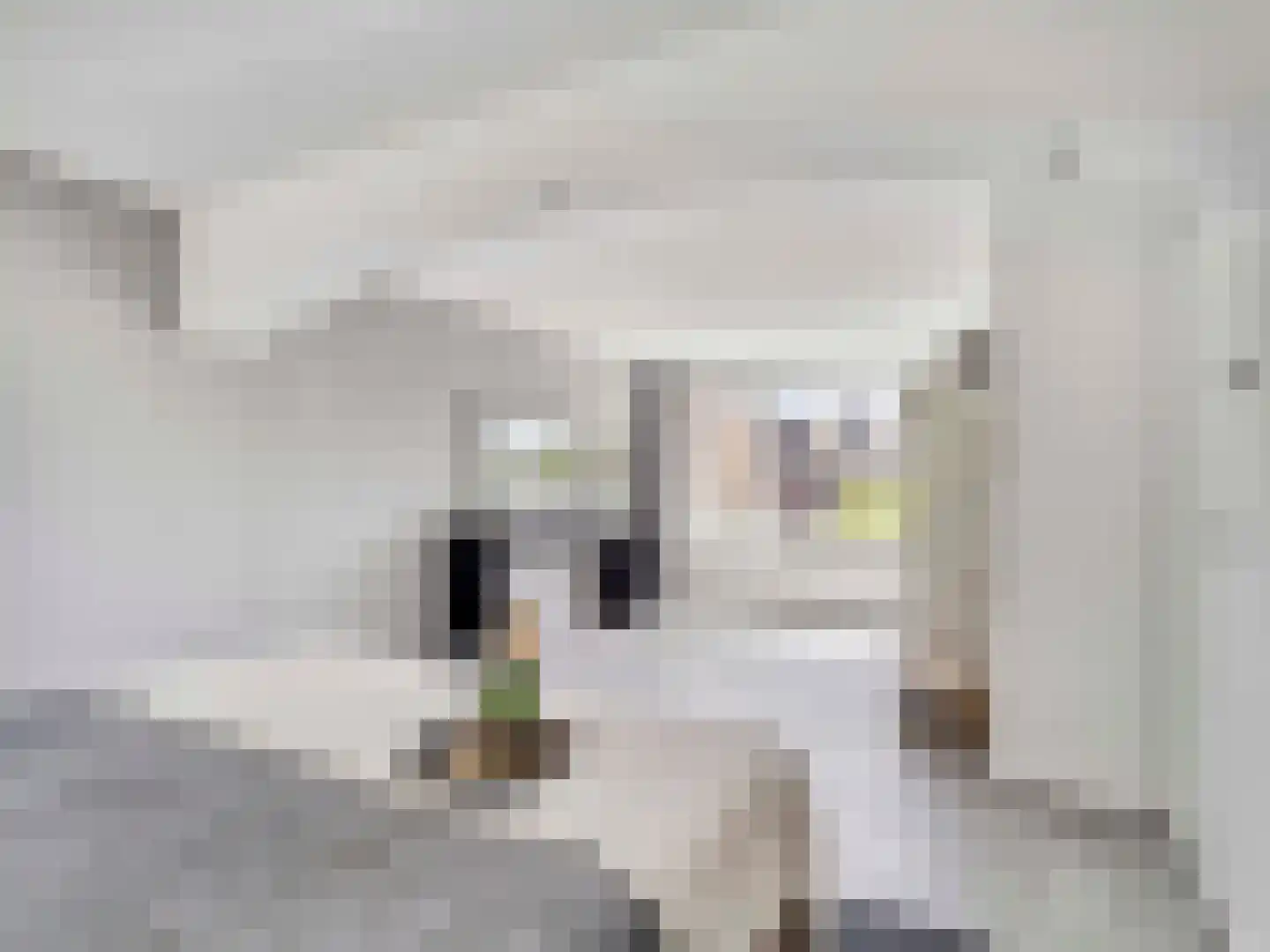 Beereveld 11 Breukelen thumbnail 16