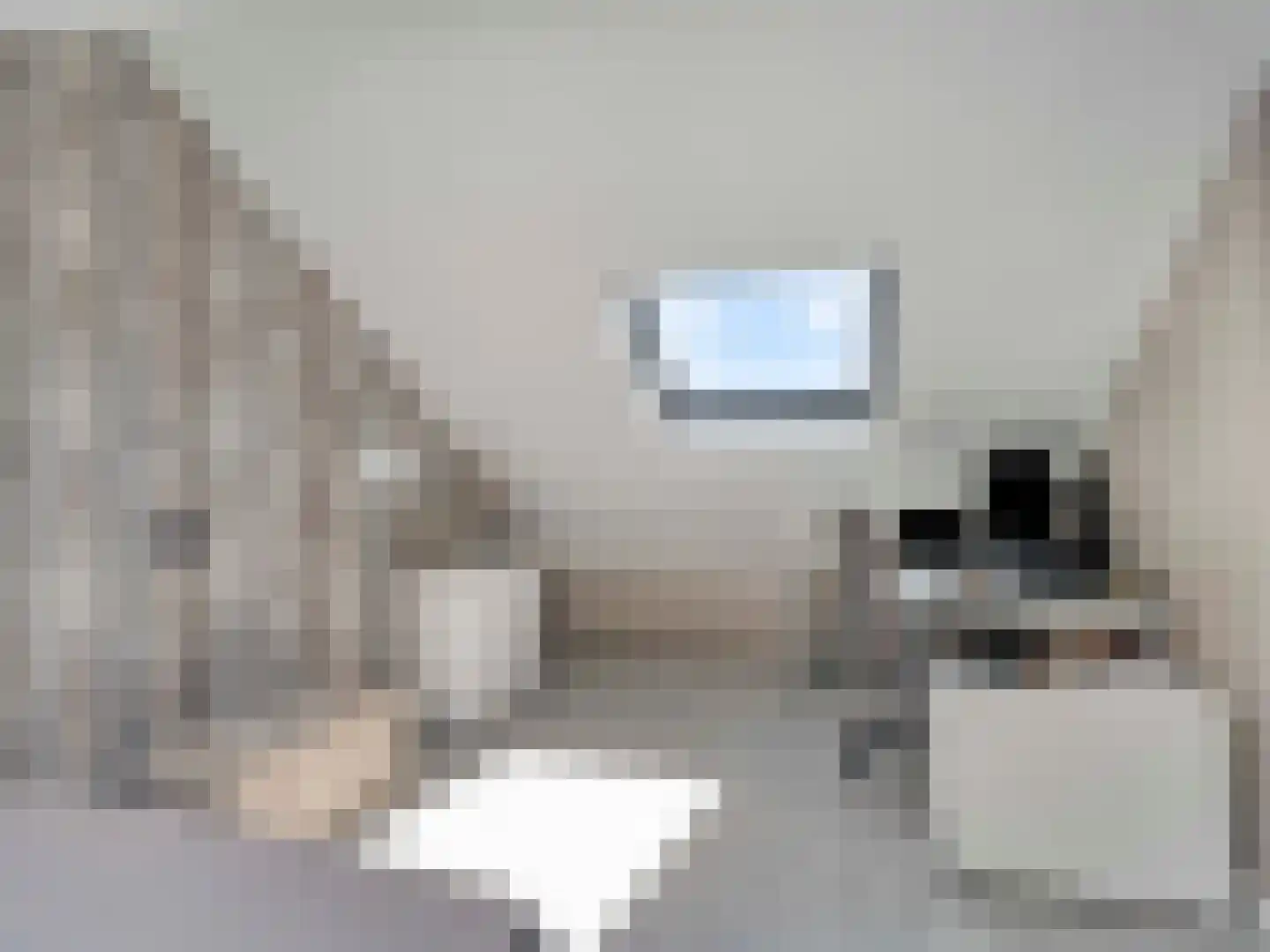 Beereveld 11 Breukelen thumbnail 22