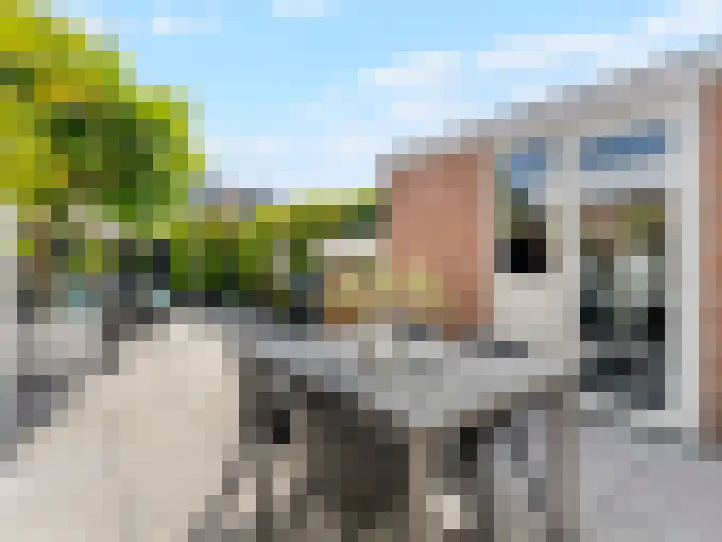 Beereveld 11 Breukelen thumbnail 24