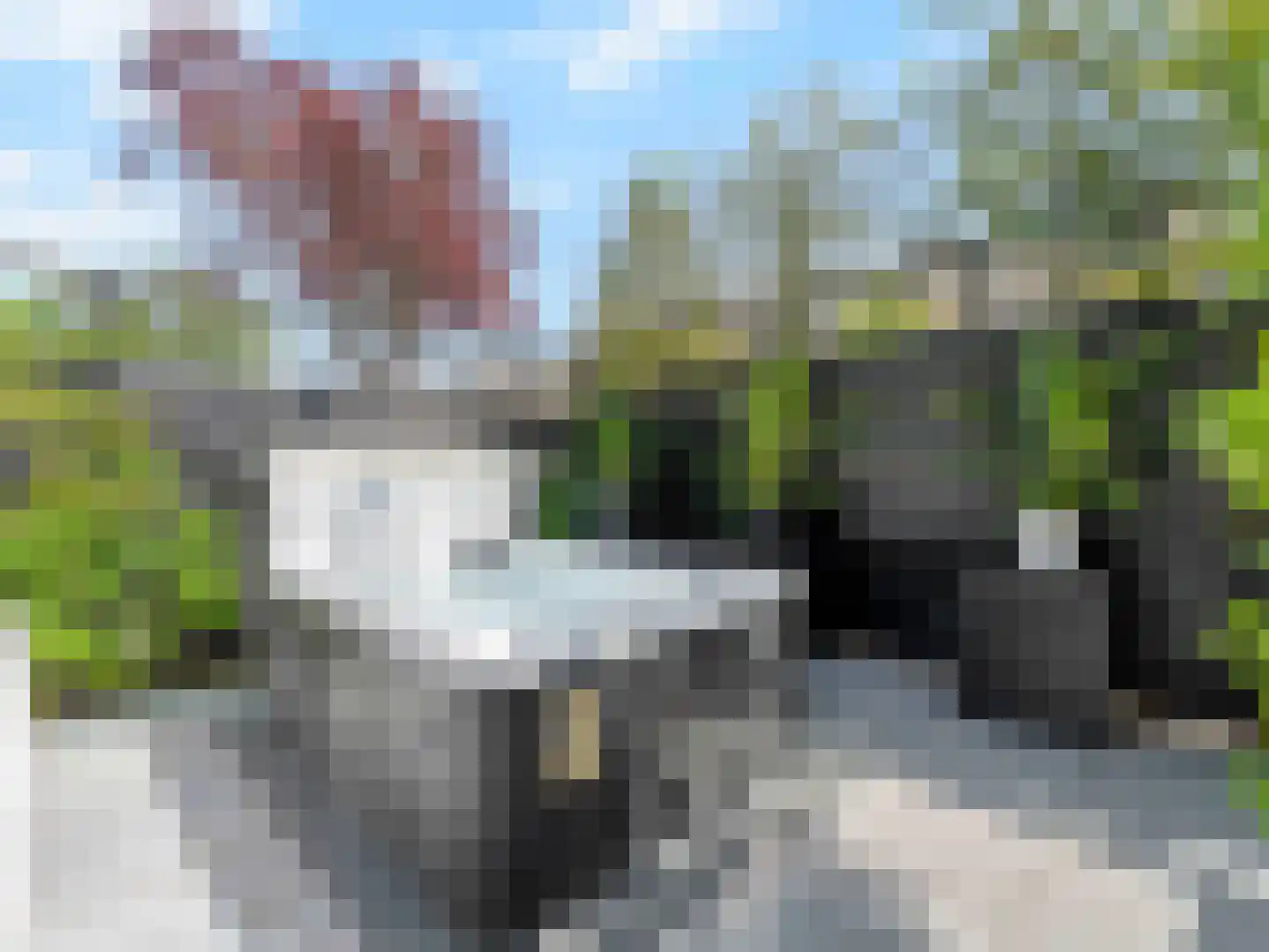 Beereveld 11 Breukelen thumbnail 30