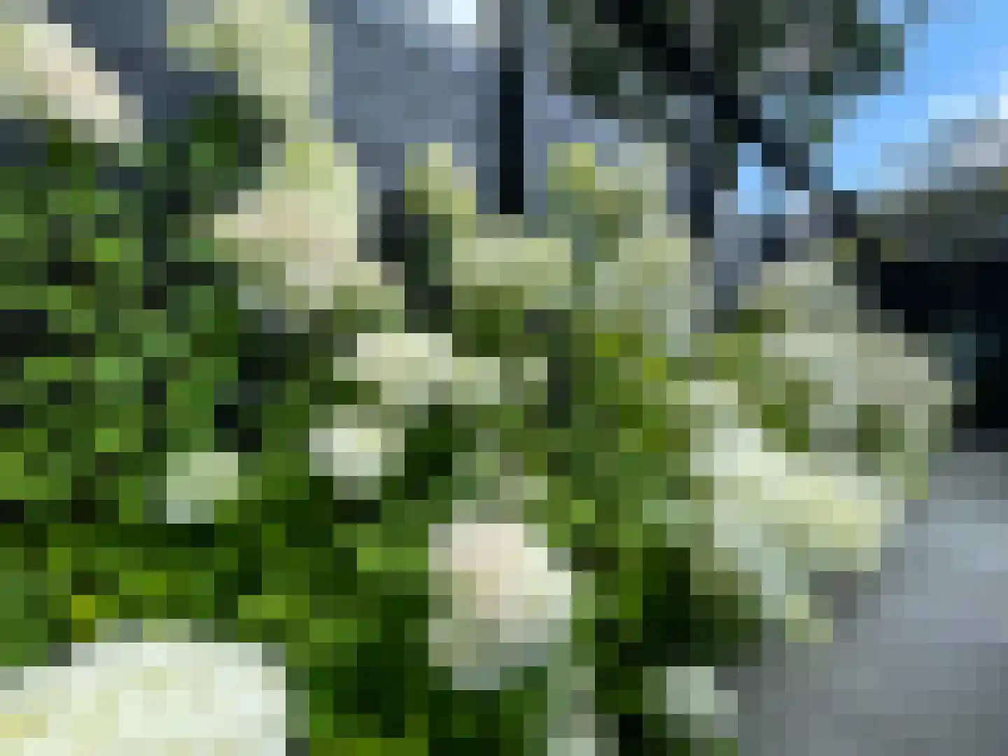 Beereveld 11 Breukelen thumbnail 33