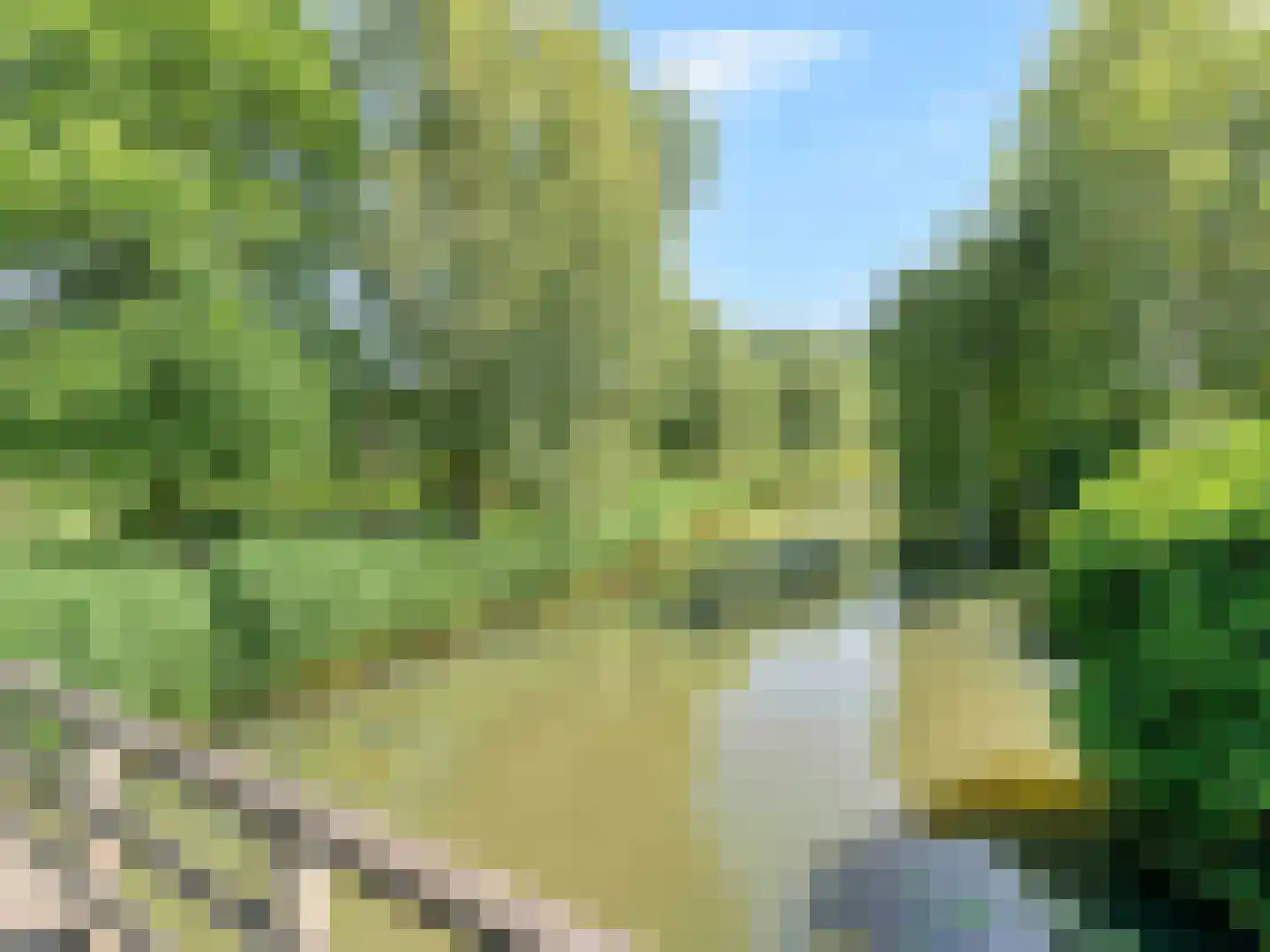 Beereveld 11 Breukelen thumbnail 39