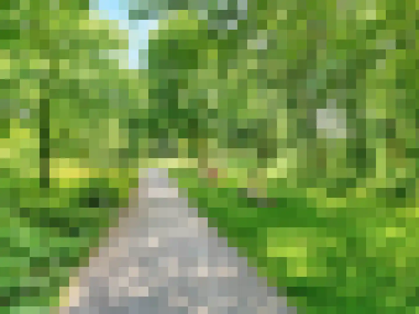 Beereveld 11 Breukelen thumbnail 41