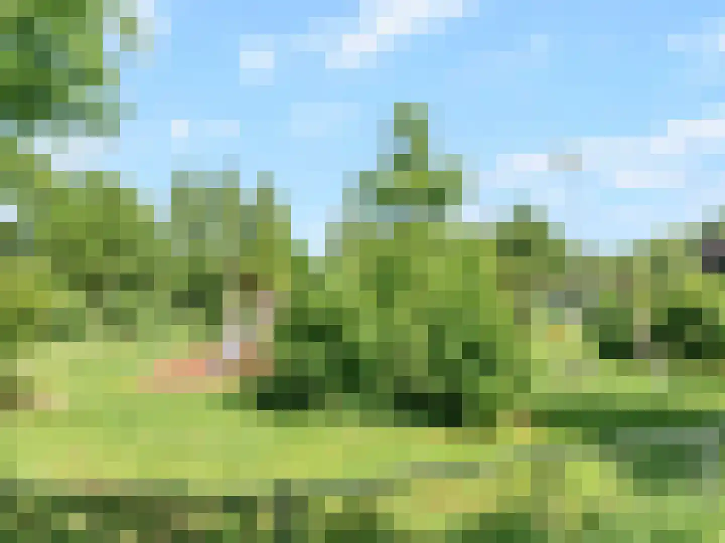 Beereveld 11 Breukelen thumbnail 42