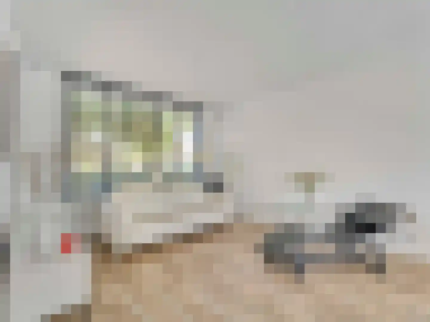 Beereveld 11 Breukelen thumbnail 8
