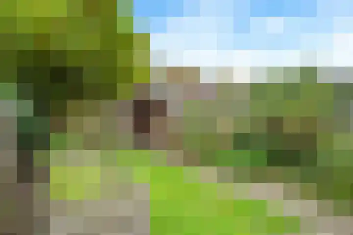Beereveld 2 Amersfoort thumbnail 26