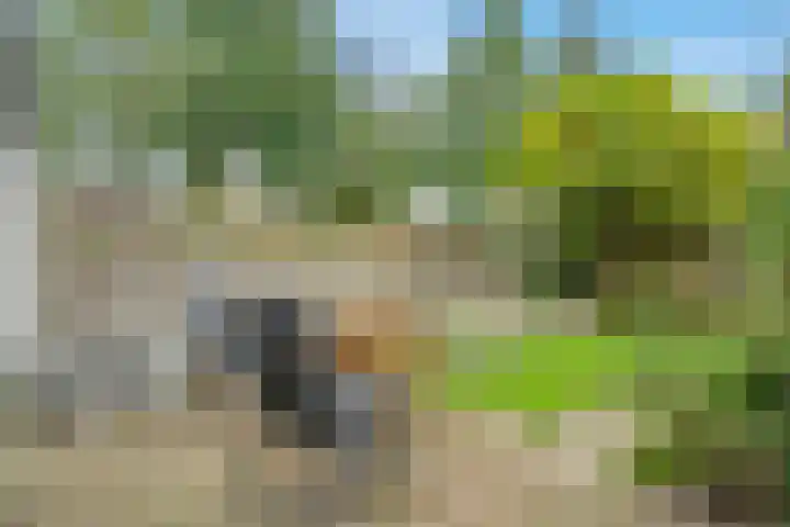 Beereveld 2 Amersfoort thumbnail 27