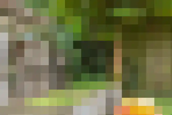 Beereveld 2 Amersfoort thumbnail 28