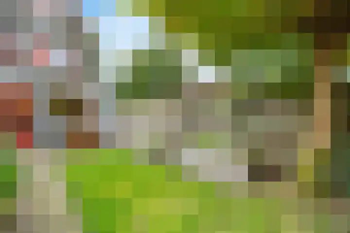 Beereveld 2 Amersfoort thumbnail 29