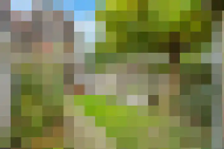 Beereveld 2 Amersfoort thumbnail 31