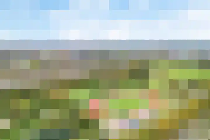 Beereveld 2 Amersfoort thumbnail 35