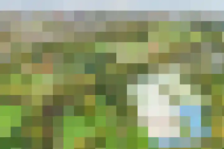 Beereveld 2 Amersfoort thumbnail 36