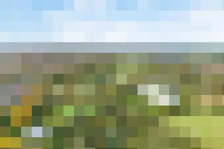 Beereveld 2 Amersfoort thumbnail 37