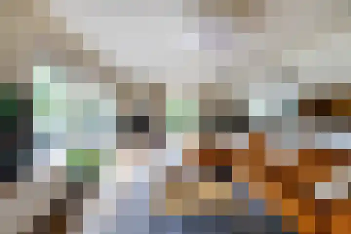 Beerninkkampstraat 3 Westendorp thumbnail 10