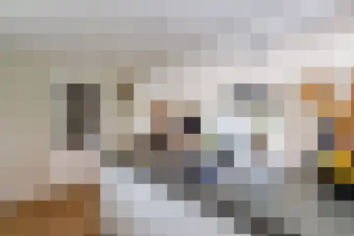 Beerninkkampstraat 3 Westendorp thumbnail 16