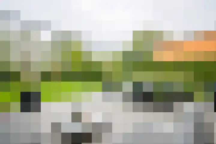 Beerninkkampstraat 3 Westendorp thumbnail 17