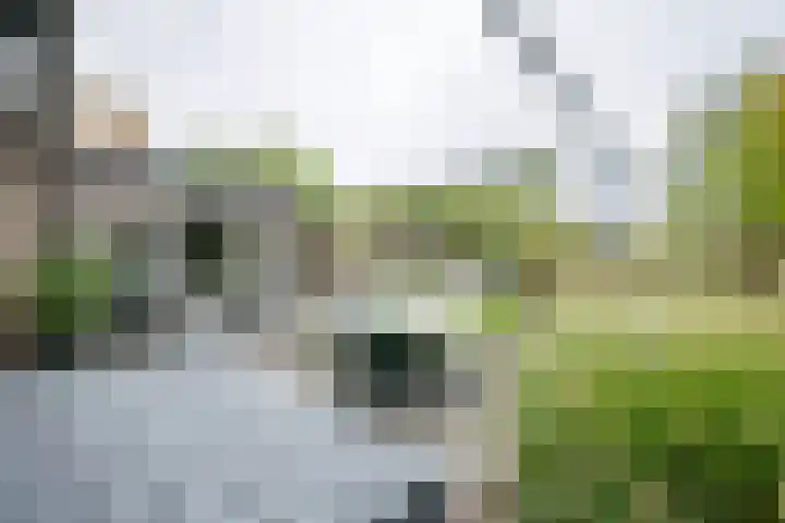 Beerninkkampstraat 3 Westendorp thumbnail 18