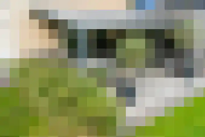 Beerninkkampstraat 3 Westendorp thumbnail 20