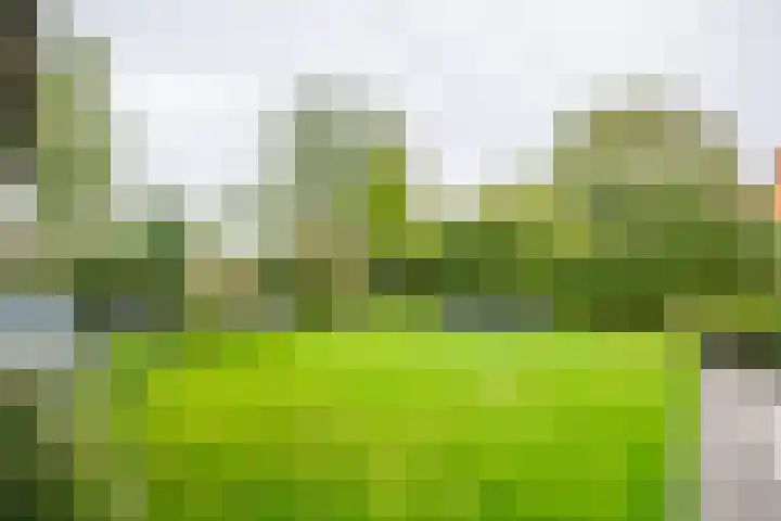Beerninkkampstraat 3 Westendorp thumbnail 21
