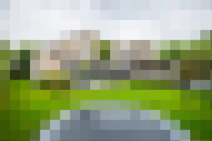 Beerninkkampstraat 3 Westendorp thumbnail 23