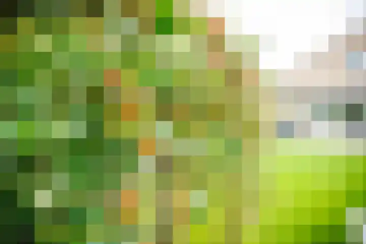 Beerninkkampstraat 3 Westendorp thumbnail 24