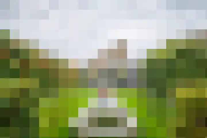 Beerninkkampstraat 3 Westendorp thumbnail 26