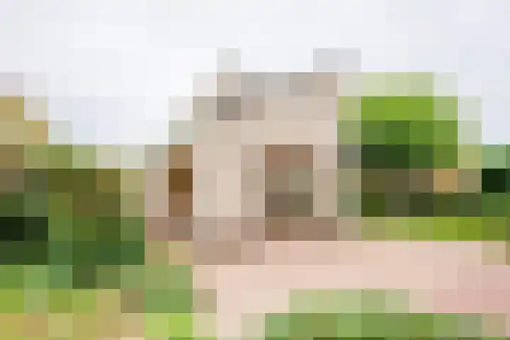 Beerninkkampstraat 3 Westendorp thumbnail 27
