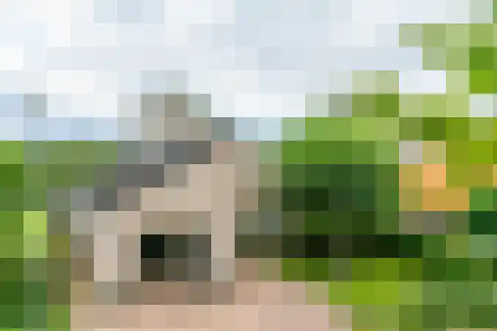 Beerninkkampstraat 3 Westendorp thumbnail 45