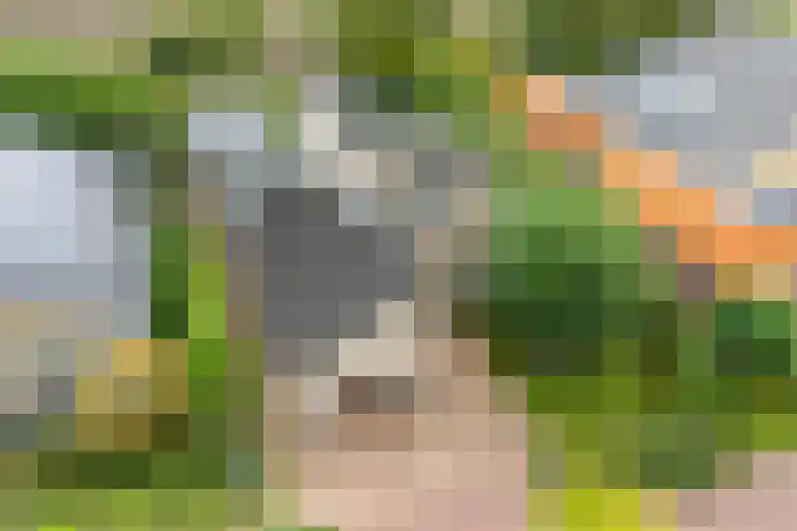 Beerninkkampstraat 3 Westendorp thumbnail 47