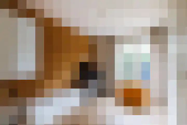 Beerninkkampstraat 3 Westendorp thumbnail 5