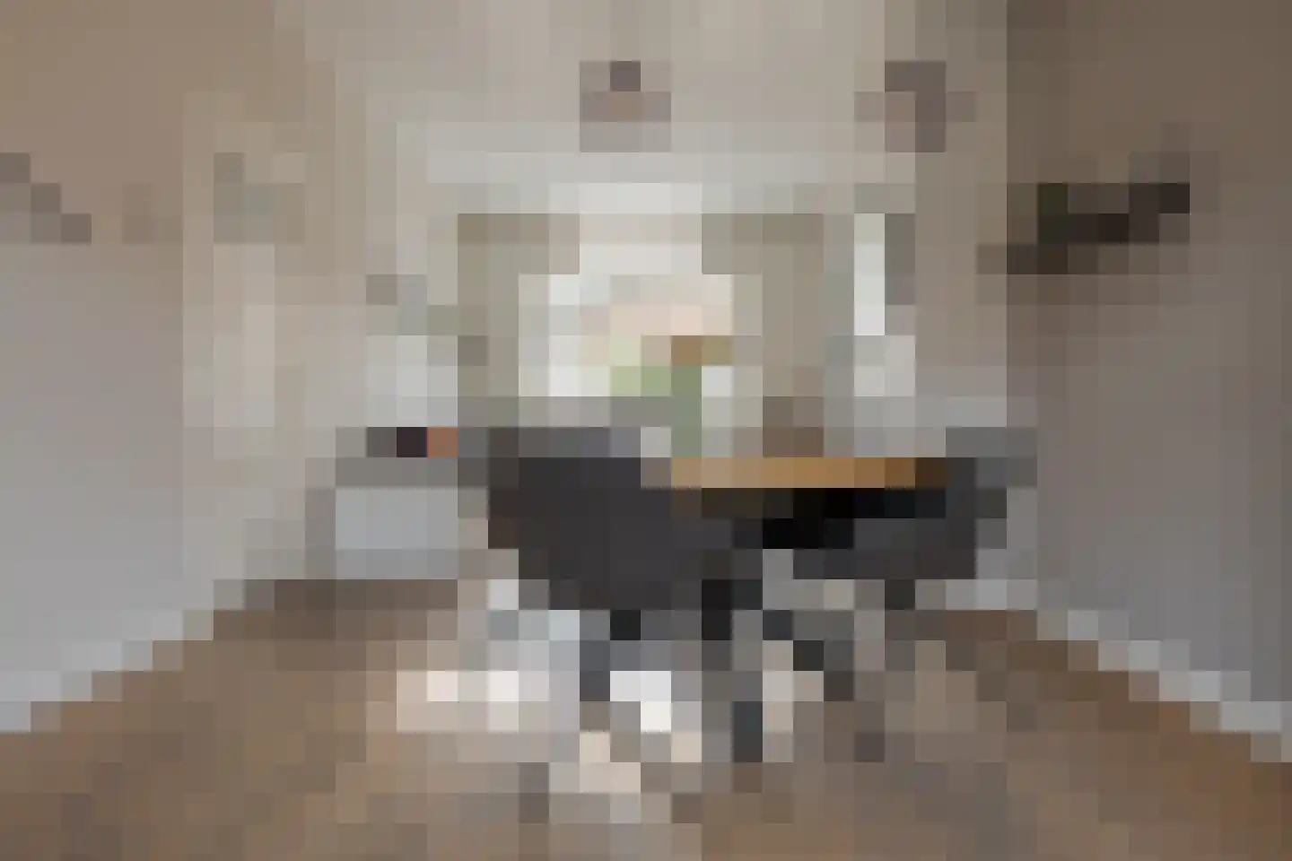 Beerninkstraat 1 Zwolle thumbnail 15