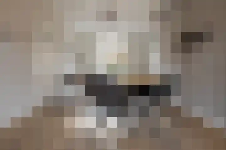 Beerninkstraat 1 Zwolle thumbnail 15