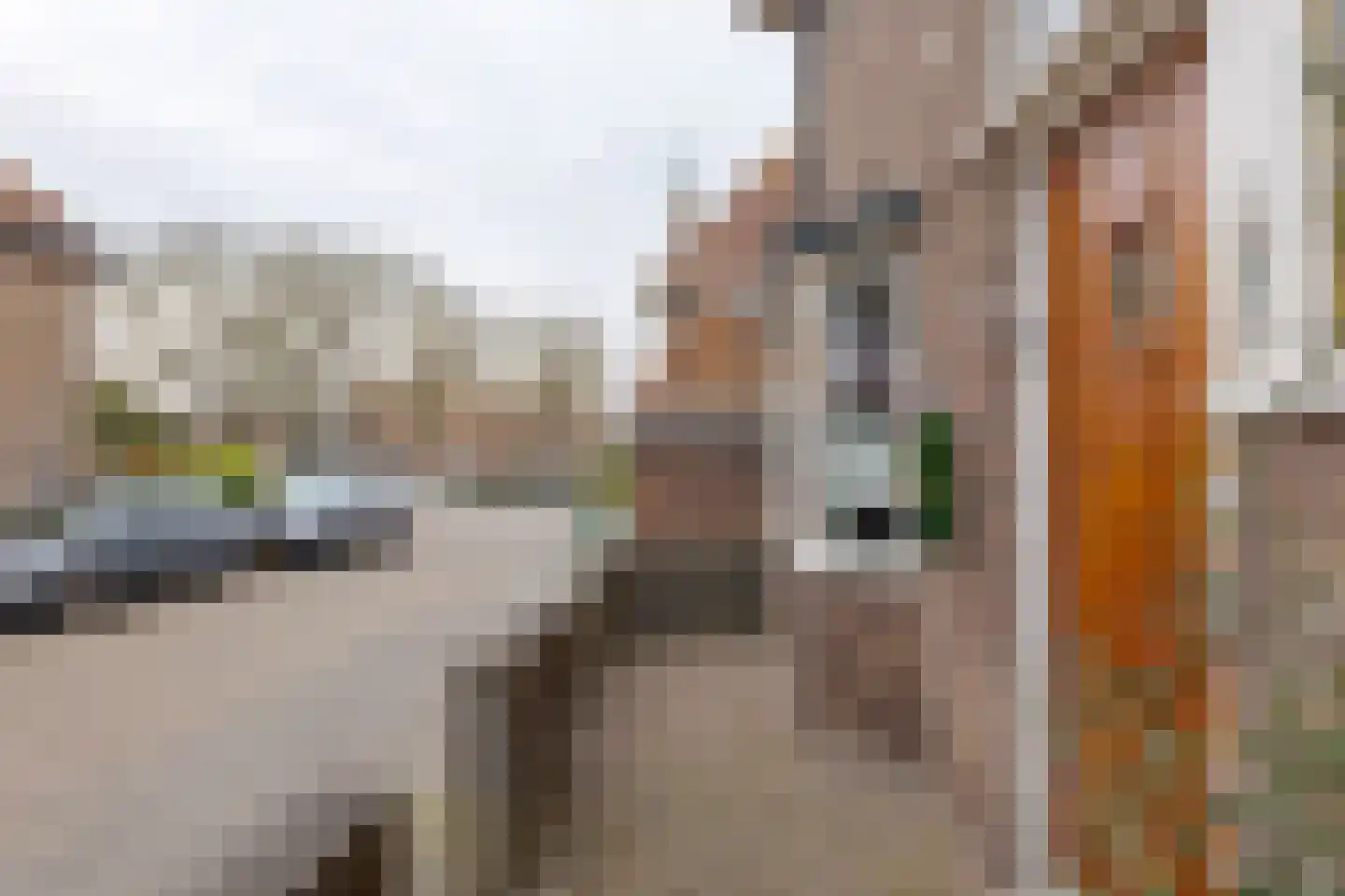Beerninkstraat 1 Zwolle thumbnail 6