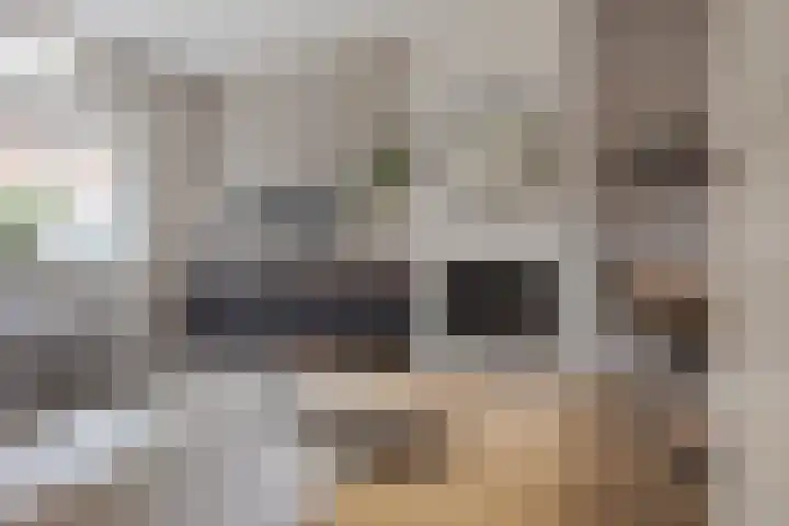 Beerninkstraat 1 Zwolle thumbnail 9