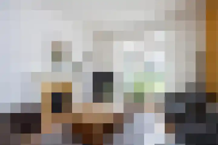 Beerninkstraat 17 Zwolle thumbnail 10