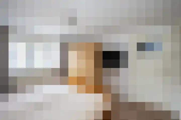 Beerninkstraat 17 Zwolle thumbnail 18