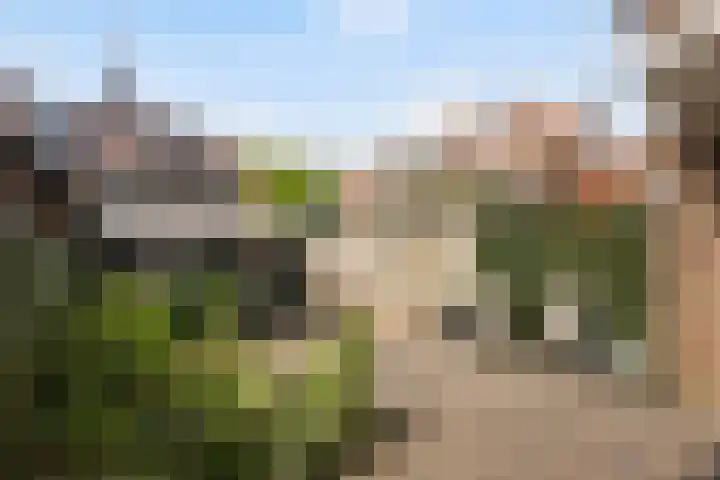 Beerninkstraat 17 Zwolle thumbnail 32