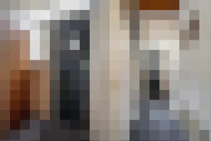 Beerninkstraat 17 Zwolle thumbnail 6